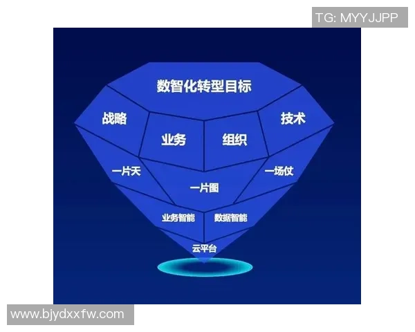 重塑辉煌成都篮球队如何实现反击革新与战略转型